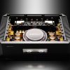 Eversolo AMP-F10 - Image 9